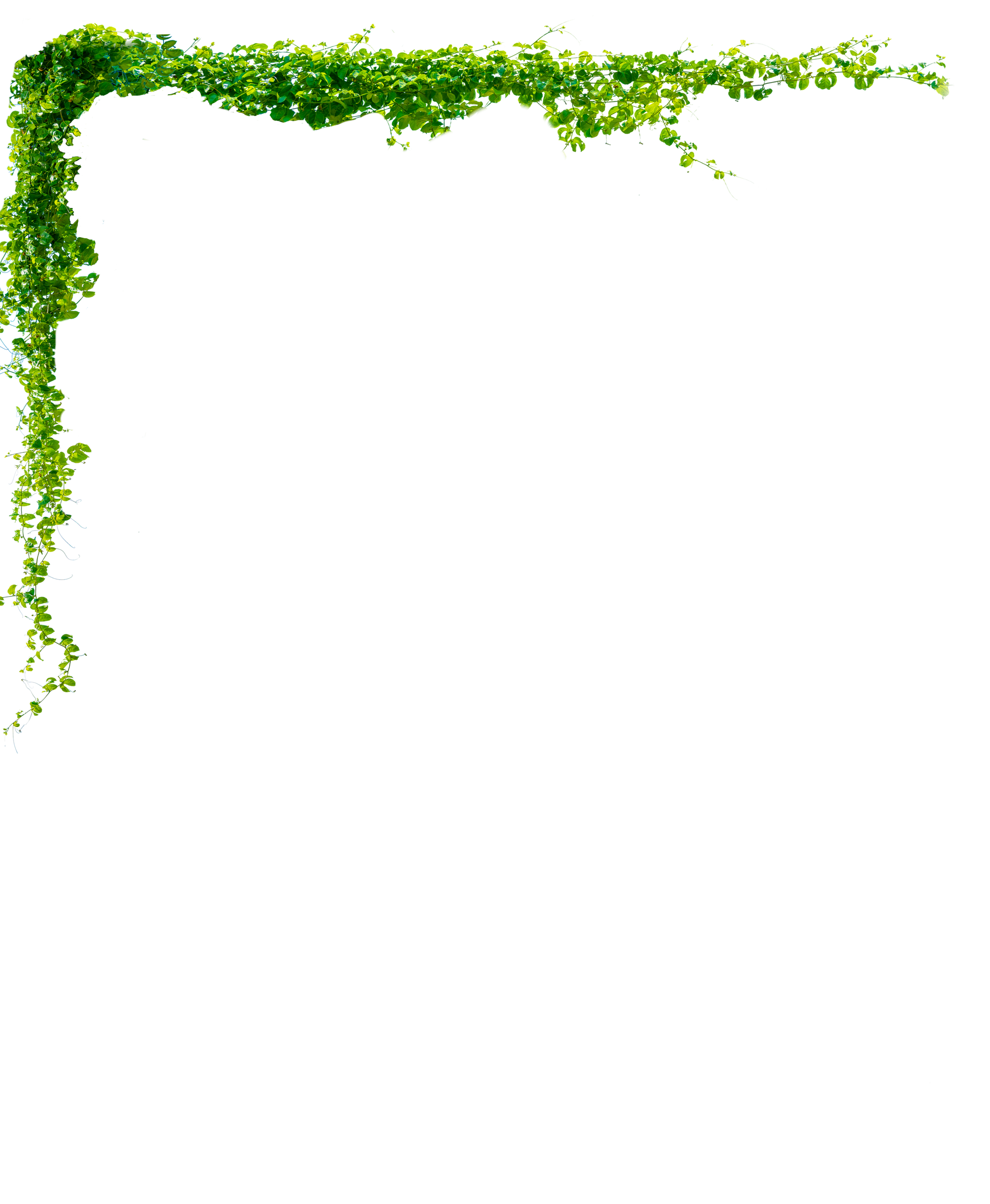 Décoration florale — section emplois