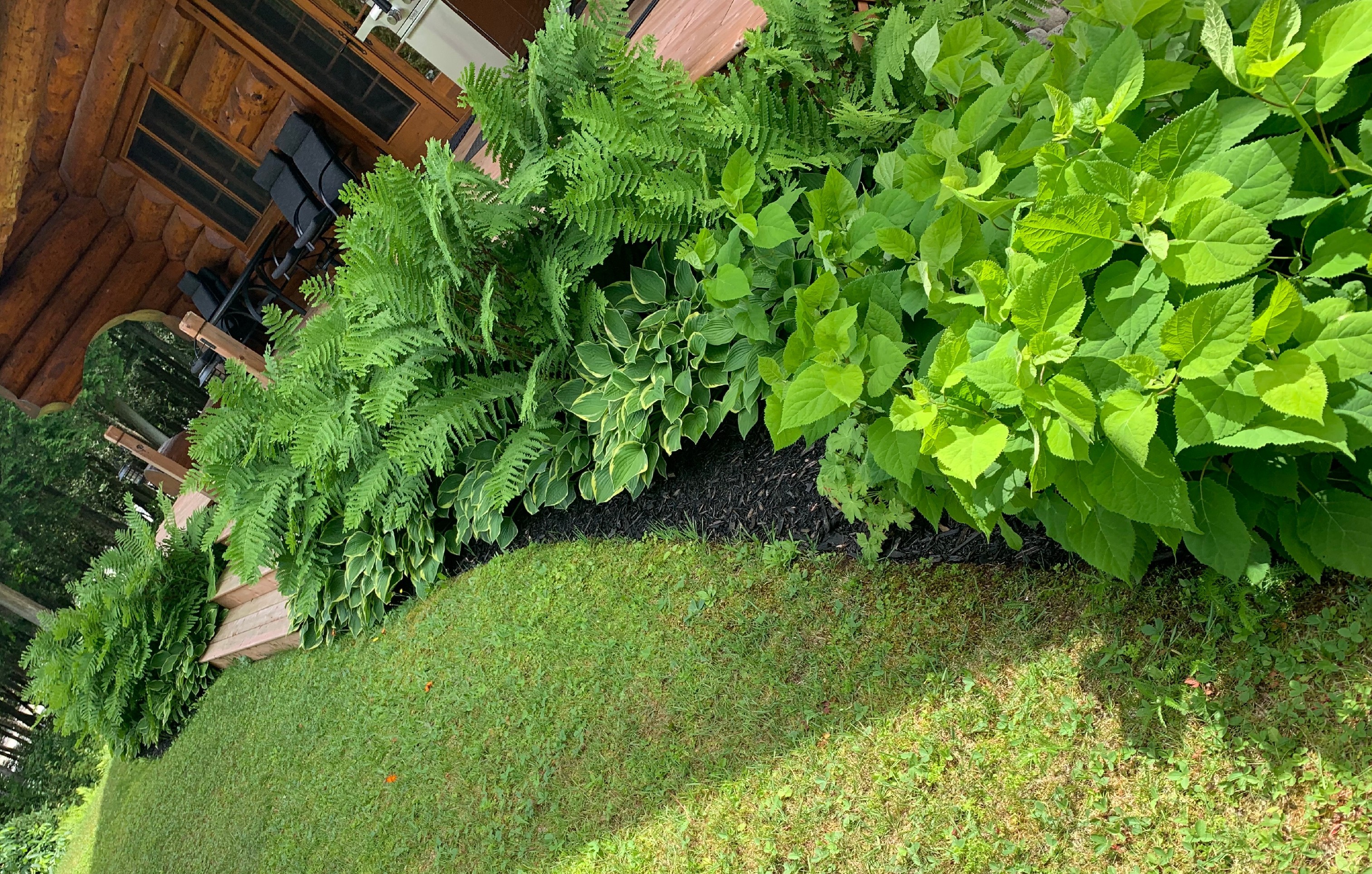 Entretien paysager — taille et entretien saisonnier (Saint-Sauveur, Laurentides)